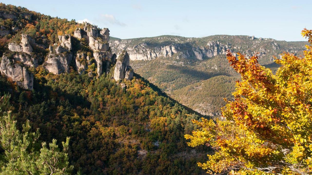 Le Colombier Saint-Veran La Roque-Sainte-Marguerite Exterior photo